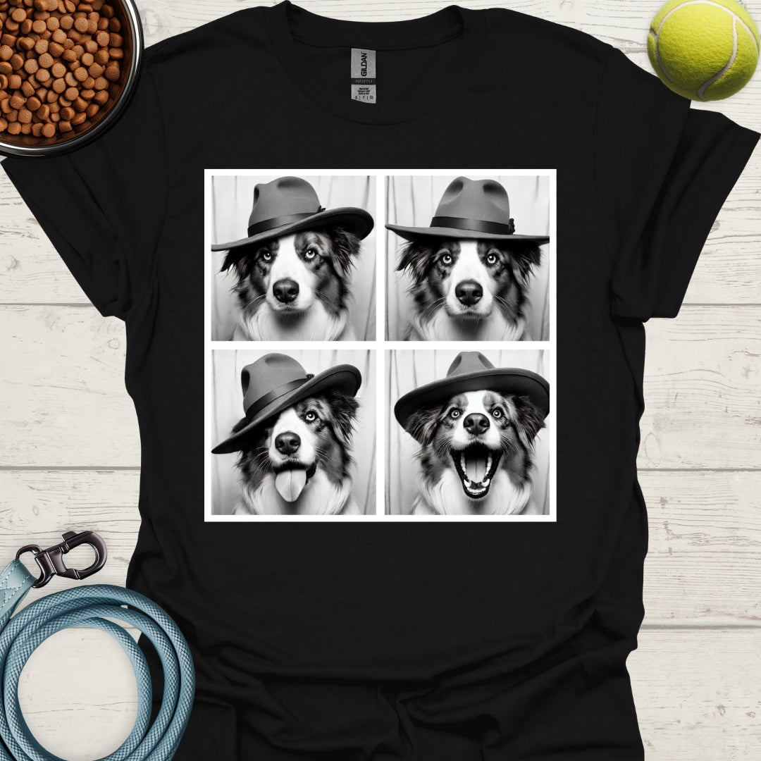 Australian Shepherd Photo Shoot