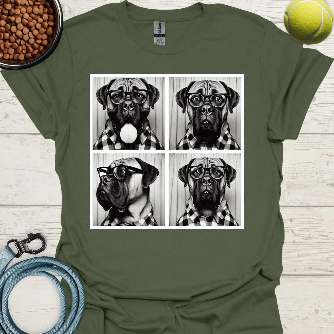 Bull Mastiff Photo Shoot