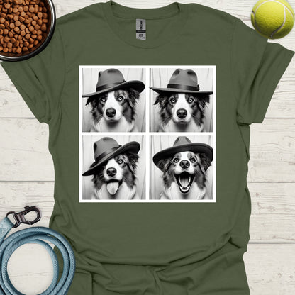 Australian Shepherd Photo Shoot