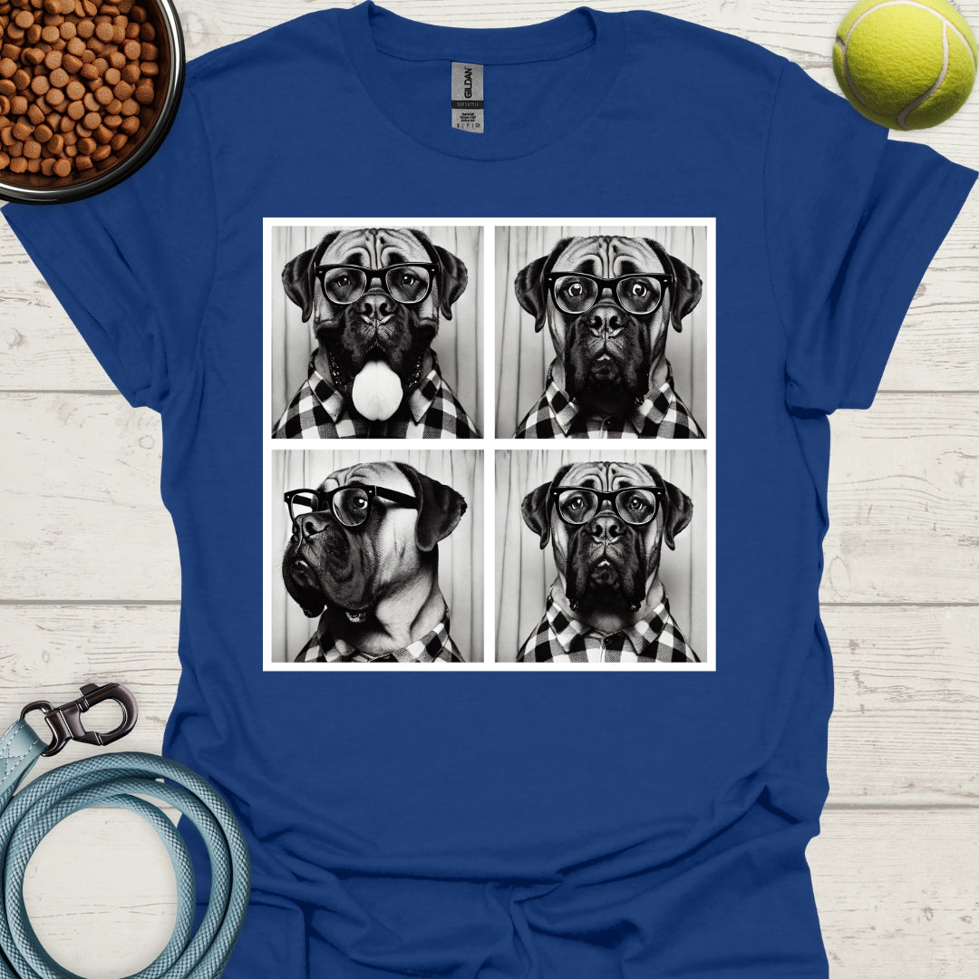 Bull Mastiff Photo Shoot