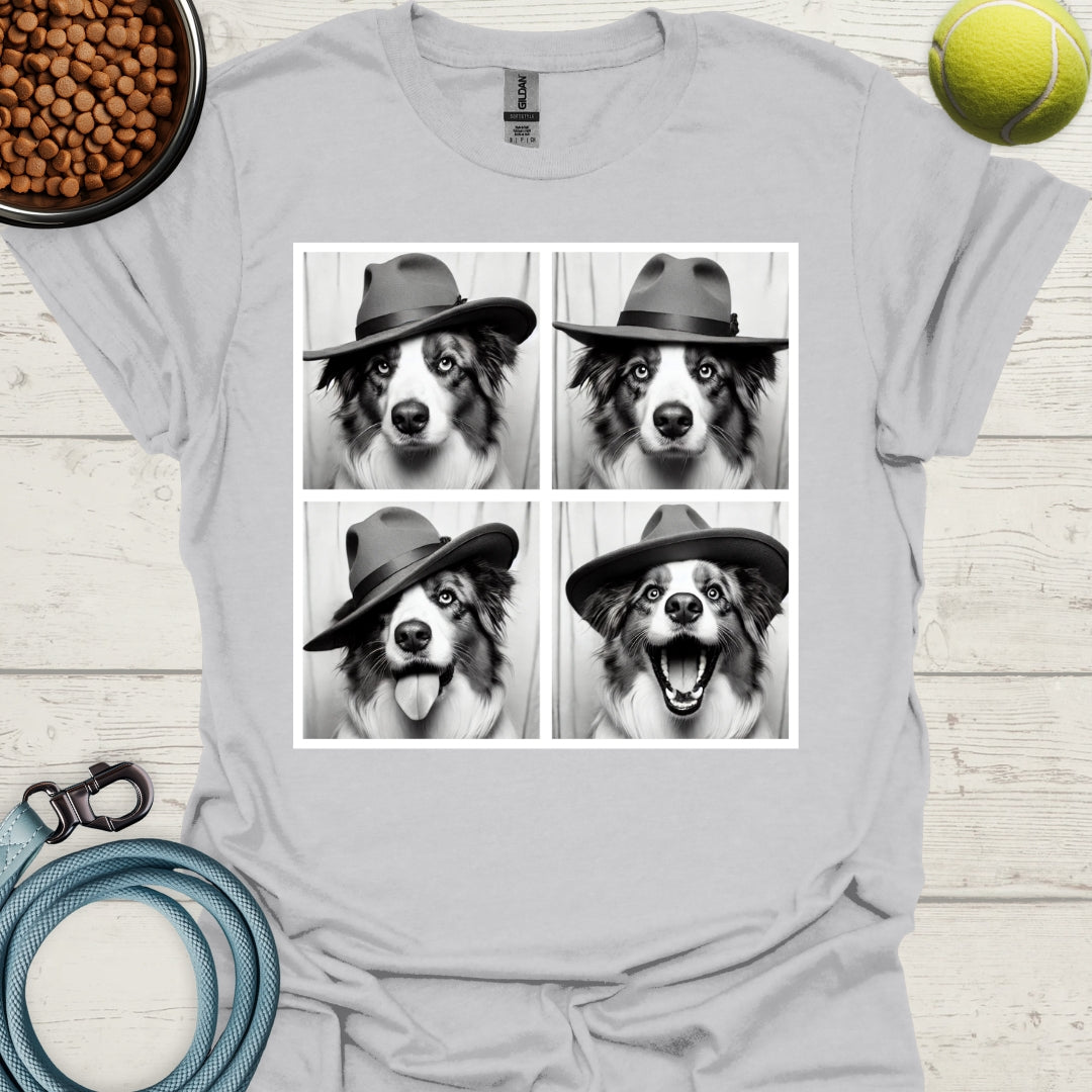 Australian Shepherd Photo Shoot