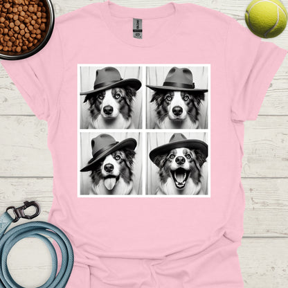 Australian Shepherd Photo Shoot