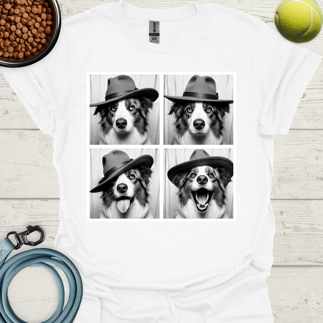 Australian Shepherd Photo Shoot